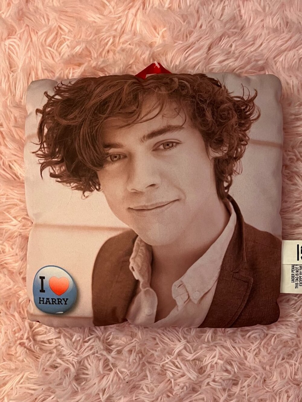 One Direction Harry Styles Mini Pillow